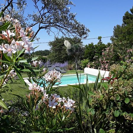 Parfums De Provence "Le Lavandin" Piscine Chauffee & Spa Vaison-la-Romaine Ngoại thất bức ảnh